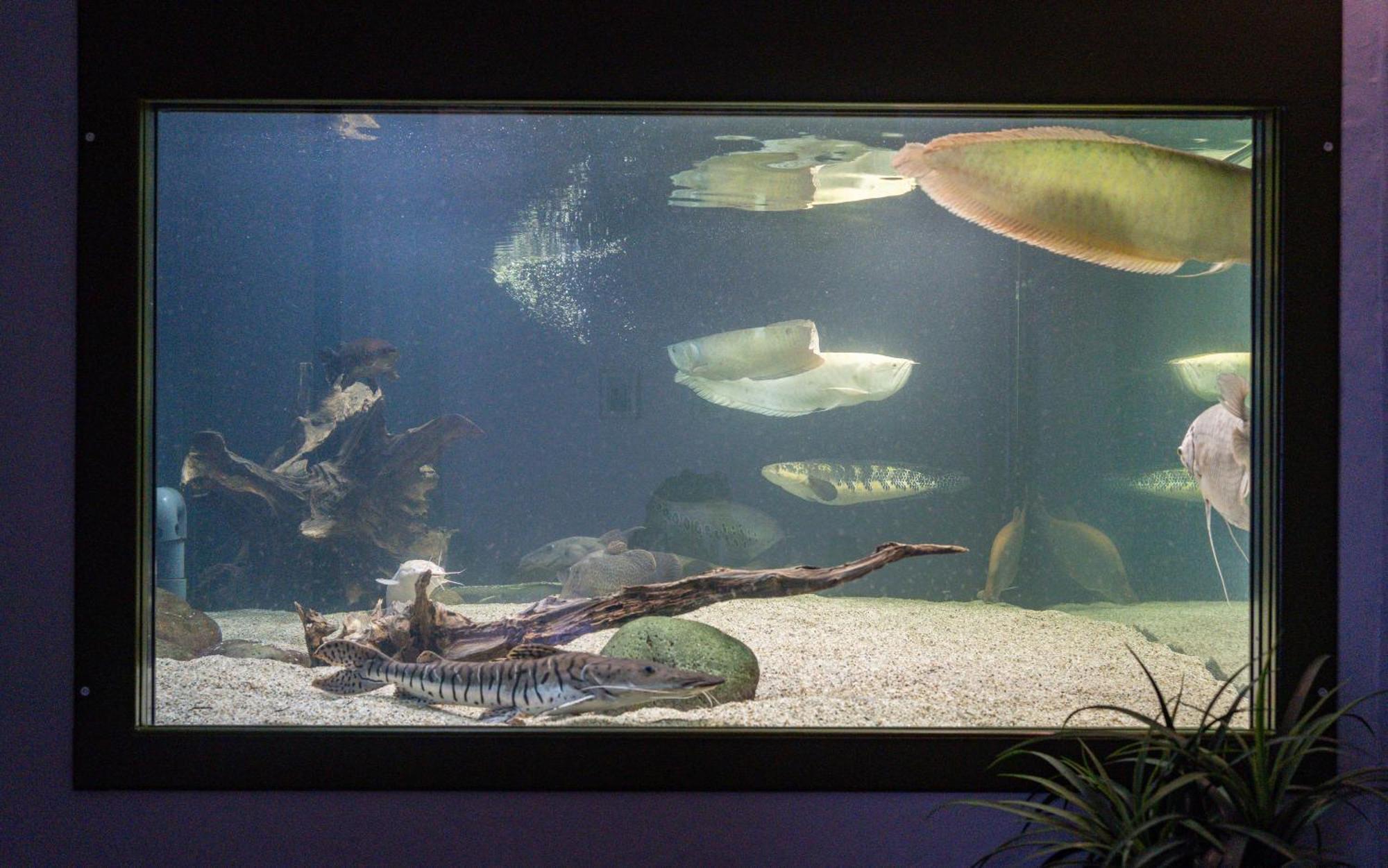 Penzion Baska Voda Cz Exteriör bild